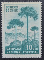 /album/galeria-de-fotos-chile/a0646-1967-jpg/